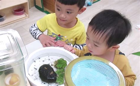 水主題佈置|戶外遊戲如何激發幼兒學習？超完整幼兒園的戶外遊戲區佈置及活。